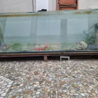 آکواریوم بزرگ