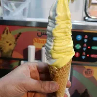 فروش ویژه