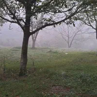 اجاره کلبه سوئیسی|اجارهٔ کوتاهمدت ویلا و باغ|کجور, |دیوار