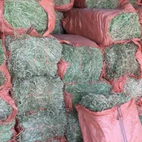 پخش خوراک دامی  یونجه ، کلش، جو، گندم، انواع کاه