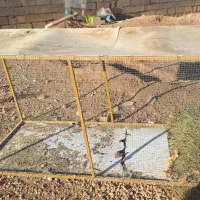 قفس پرنده|لوازم جانبی حیوانات|شیراز, قلات|دیوار