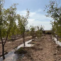 زمین-کشاورزی