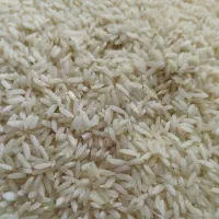 برنج عالی دجه‌یک‌ازهمه لحاظ