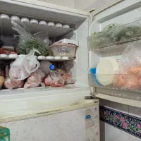 یخچال|یخچال و فریزر|مشهد, نوید|دیوار