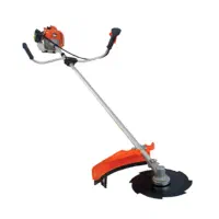 انجام کارهای باغی|خدمات باغبانی و درختکاری|نیشابور, فضل|دیوار