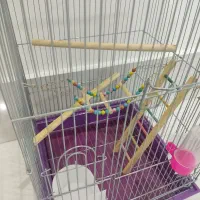 قفس بزرگ طوطی