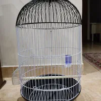 دو عدد قفس