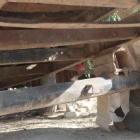 تریلی دوچرخ|خودرو سنگین|سرپل ذهاب, |دیوار