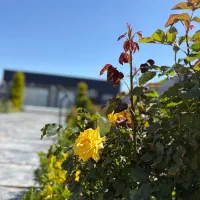 ۶۰۰ متر/رویا تو باور کن/املاک اساطیر