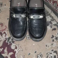 کفش مجلسی نو|کیف، کفش، کمربند|زابل, |دیوار