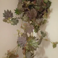 ساعت دیواری|ساعت دیواری و تزئینی|دلیجان, |دیوار