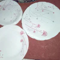 غذا خوری نو آرکوپال