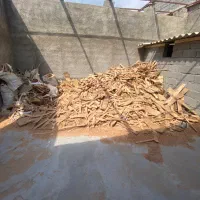 ضایعات چوب راش