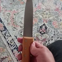 چاقو|ظروف پختوپز|قرچک, شهرک الحدید|دیوار