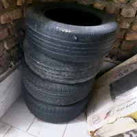 لاستیک رادیات