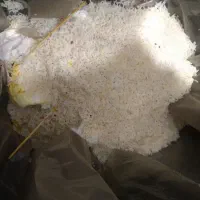 خوراک حیوانات خونگی