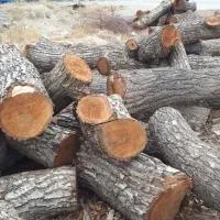 خرید چوب با اره موتوری