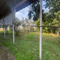 زمین باغی مسکونی|فروش زمین و ملک کلنگی|رشت, بازار|دیوار