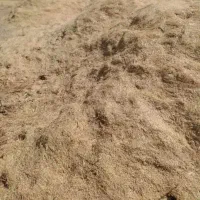 کاه گندم