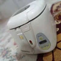 سرخ کن با روغن تولیپس