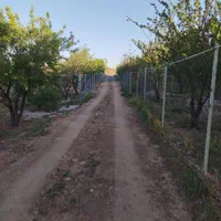 فروش زمین ۹۲۵ متری محدود پل زمانخان|فروش زمین و ملک کلنگی|باغ بهادران, |دیوار