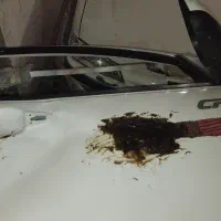 صافکاری تخصصی PDR|خدمات موتور و ماشین|مشهد, حجت|دیوار