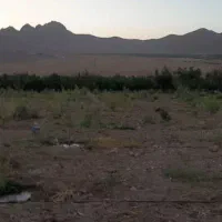 فروش طرح کشاورزی5500 مترطرح عمان سامان|اجارهٔ دفتر صنعتی، کشاورزی، تجاری|سامان, |دیوار