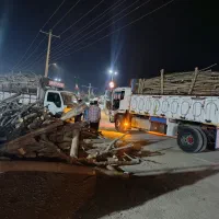 خرید انواع چوب ترو خشک سقفی ذغالی|خدمات باغبانی و درختکاری|خانمیرزا, |دیوار