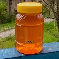 عسل طبیعی از تولید کننده|خوردنی و آشامیدنی|تهران, گیشا|دیوار