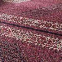 دو فرش ۱۲ متری ۵۰۰ شانه و دو فرش ۶ متری ۵۰۰ شانه|فرش|زنجان, |دیوار