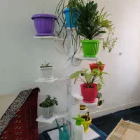 دکوری|صنایع دستی و سایر لوازم تزئینی|تربت‌حیدریه, آسایش|دیوار