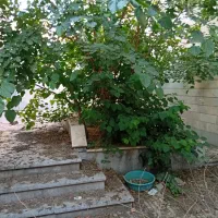 290متر-ویلایی-جنوبی-فرامرزهای-زوج-مناسب-جهت-ساخت