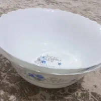 سوپ خوری وپلوخوری آرکوپال