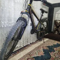 دوچرخه 24|دوچرخه، اسکیت، اسکوتر|کهنوج, |دیوار