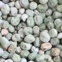 خریدوفروش بذر نخودفرنگی وباقلا برکت|خوردنی و آشامیدنی|جویبار, |دیوار