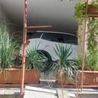 ۴ عدد گلدان با گیاه سبز