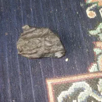 شهاب سنگ|کلکسیون اشیاء عتیقه|کوار, |دیوار