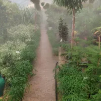 نیروی خانوم برای کار در گلخونه|استخدام خدمات فروشگاه و رستوران|نجف‌آباد, طالقانی|دیوار