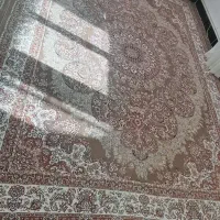 قالی کرمی و گردویی|فرش|سرپل ذهاب, |دیوار