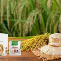 سبوس برنج قهوه ای