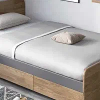 همخانه خانم