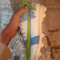 کفش مخصوص چمن|کیف، کفش، کمربند|مشهد, موعود|دیوار