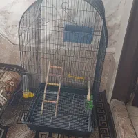 قفس پرنده|لوازم جانبی حیوانات|فولادشهر, B4|دیوار