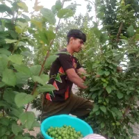 ۳۵۰مترباغ ویلا*سنددار*بافت شهری*کنتور* شهریار|فروش خانه و ویلا|تهران, یافت آباد جنوبی|دیوار