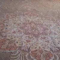 یک جفت فرش کرم خوش نقش ۵۰۰ شانه تمیز