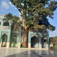 اجاره-دوتااتاق