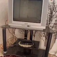 تلویزیون