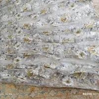 پرده|پرده، رانر، رومیزی|ایلام, |دیوار