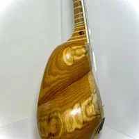 تار حرفه ای ۳ مهر پناهی|سازهای سنتی|تهران, فردوس|دیوار