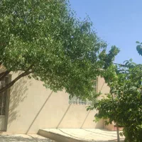 باغ اتاقدار پل زمانخان زیره قیمت
